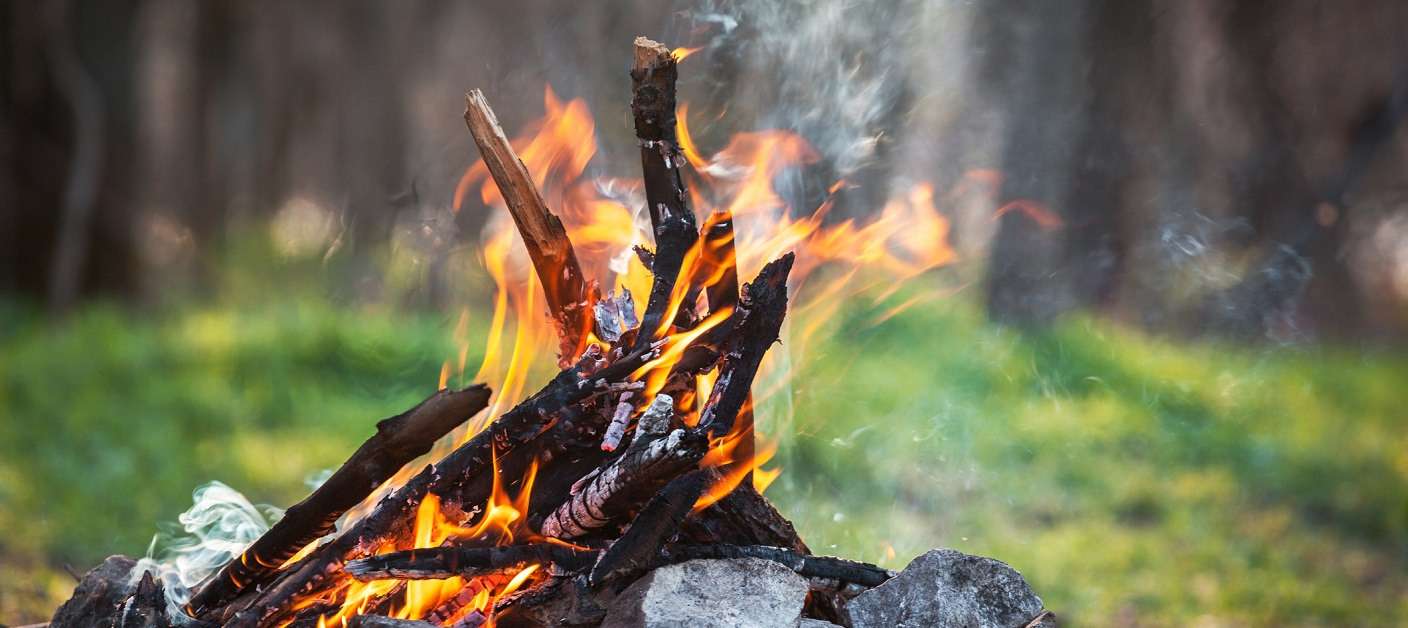 Bonfire in the spring forest. coals of fire Bonfire in the spring forest. coals of fire