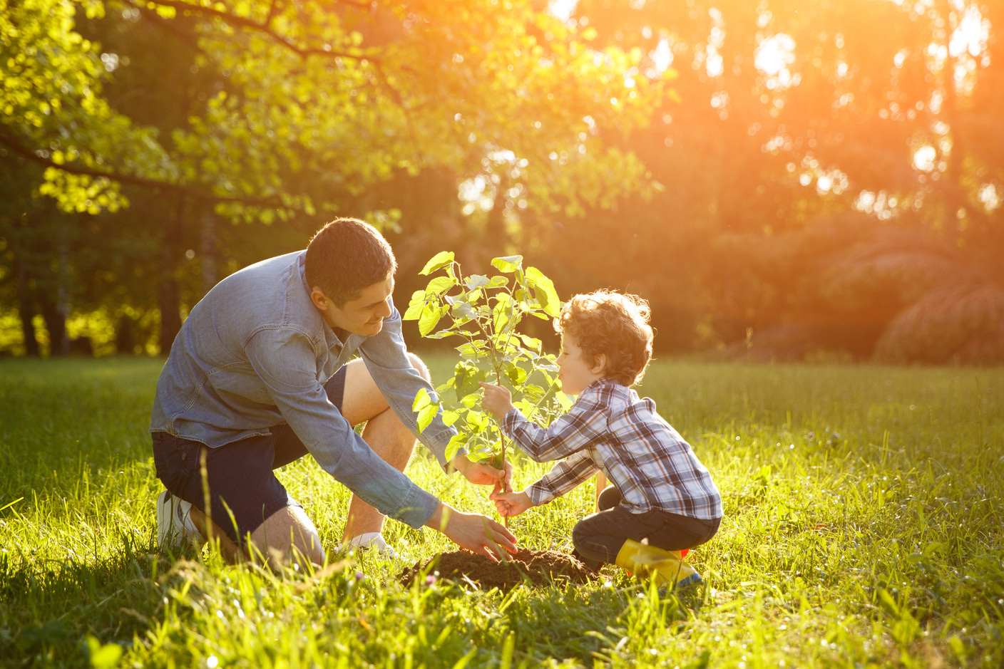 810877470 Father and son setting plant